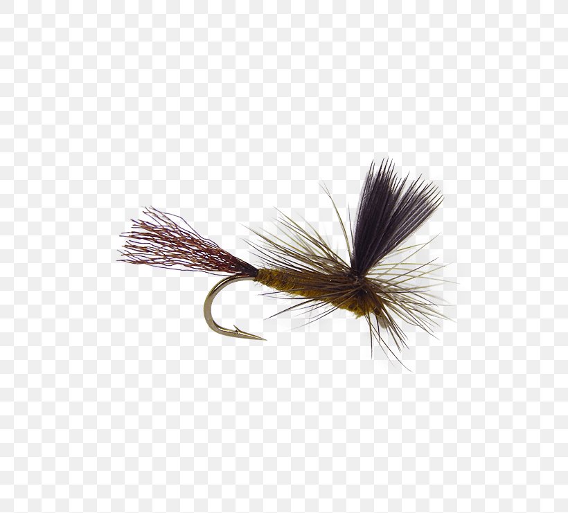 Artificial Fly Precision Fly Fishing, PNG, 555x741px, Artificial Fly, Crane Fly, Fishing, Fly, Fly Fishing Download Free