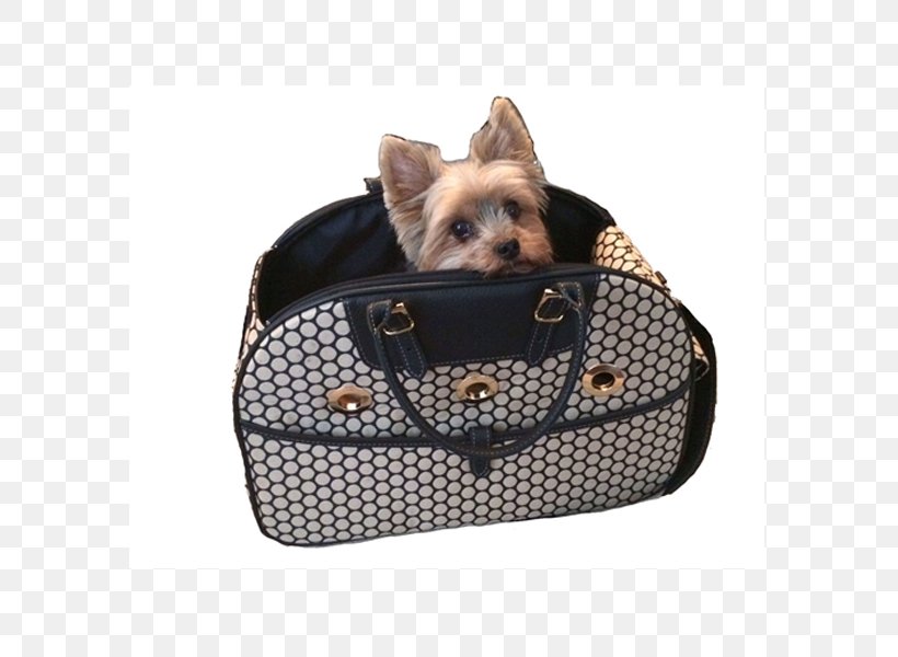 Bag Dog Breed Yorkshire Terrier Leather Leash, PNG, 600x600px, Bag, Bayside, Beige, Dog, Dog Bed Download Free