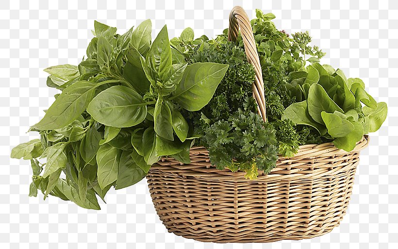 Herb Image File Formats Clip Art, PNG, 800x513px, Herb, Basil, Display Resolution, Fines Herbes, Flowerpot Download Free