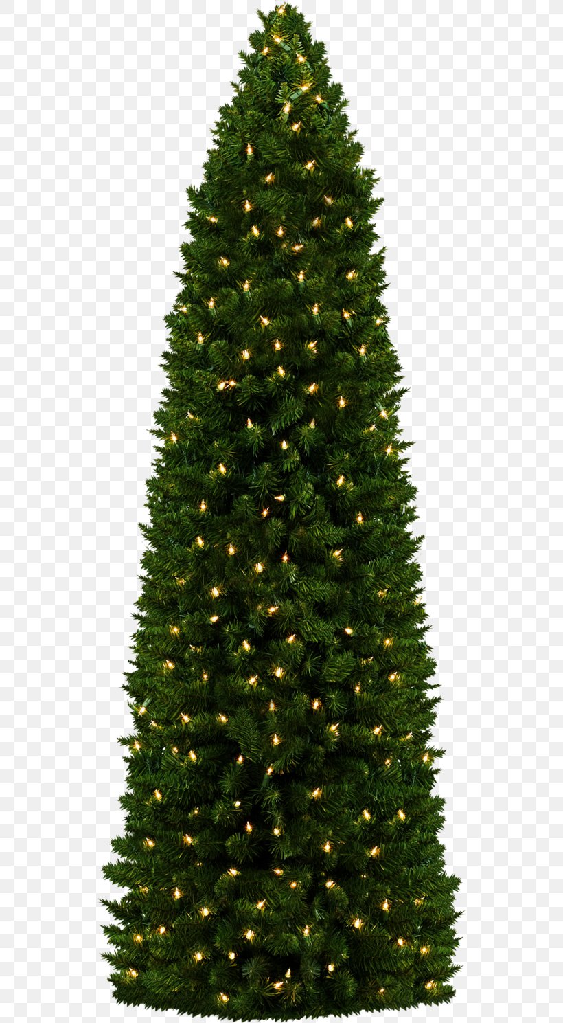 Christmas Tree, PNG, 536x1489px, Christmas Tree, Biome, Candle, Christmas, Christmas Decoration Download Free