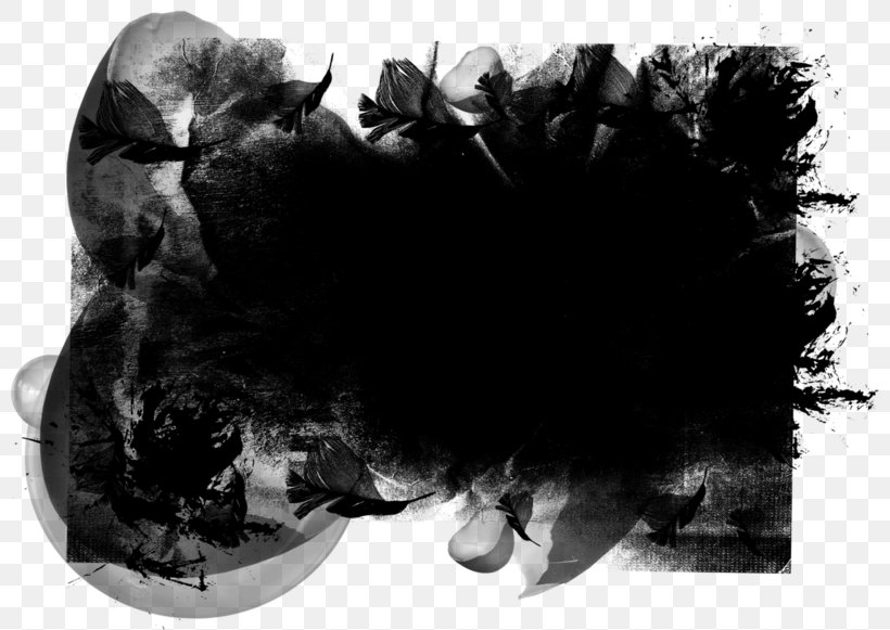 Download, PNG, 800x581px, Ink, Black, Black And White, Carnivoran, Fur Download Free