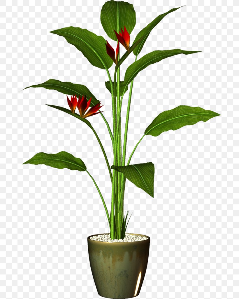 Flowerpot Houseplant Garden Clip Art, PNG, 698x1024px, Flowerpot, Cactaceae, Flower, Flower Garden, Flowering Plant Download Free