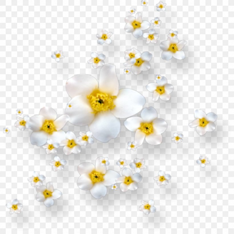 Flower Image Clip Art, PNG, 980x980px, Flower, Blossom, Branch, Floral Design, Flowering Plant Download Free