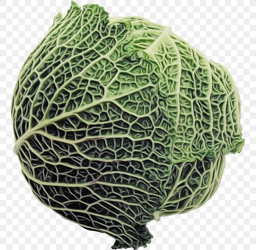 Vegetables Cartoon, PNG, 750x800px, Vegetable, Cabbage, Food, Leaf Vegetable, Plant Download Free
