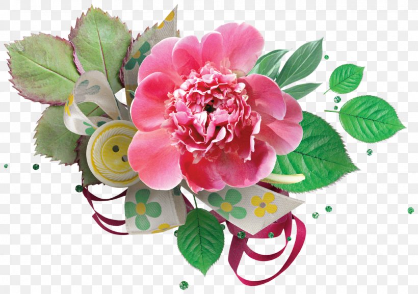 Cabbage Rose Floral Design Petal Cut Flowers, PNG, 1024x721px, Cabbage Rose, Blossom, Cut Flowers, Digital Image, Floral Design Download Free