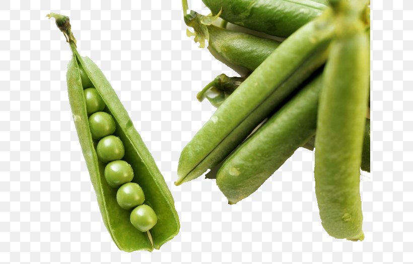 Green Bean Vegetable Food Common Bean, PNG, 650x524px, Green Bean, Bean, Blanching, Broad Bean, Commodity Download Free