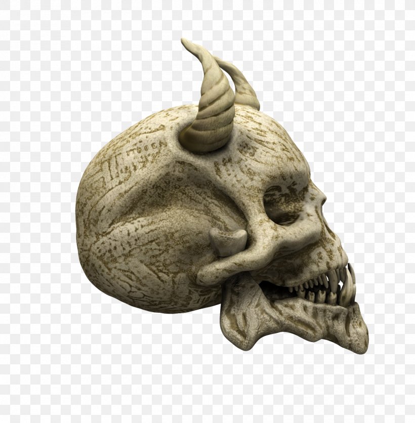 Skull Human Skeleton Bone Face, PNG, 1500x1531px, Skull, Bone, Euclidean Space, Face, Figurine Download Free