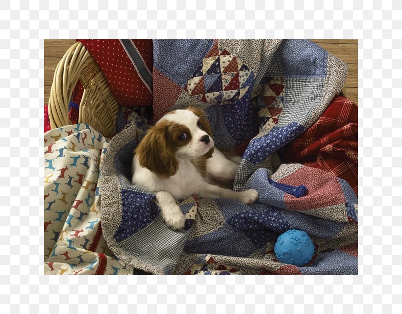 Cavalier King Charles Spaniel Jigsaw Puzzles Puppy Laundry Cocker Spaniel, PNG, 640x640px, Cavalier King Charles Spaniel, Carnivoran, Cocker Spaniel, Companion Dog, Dog Download Free