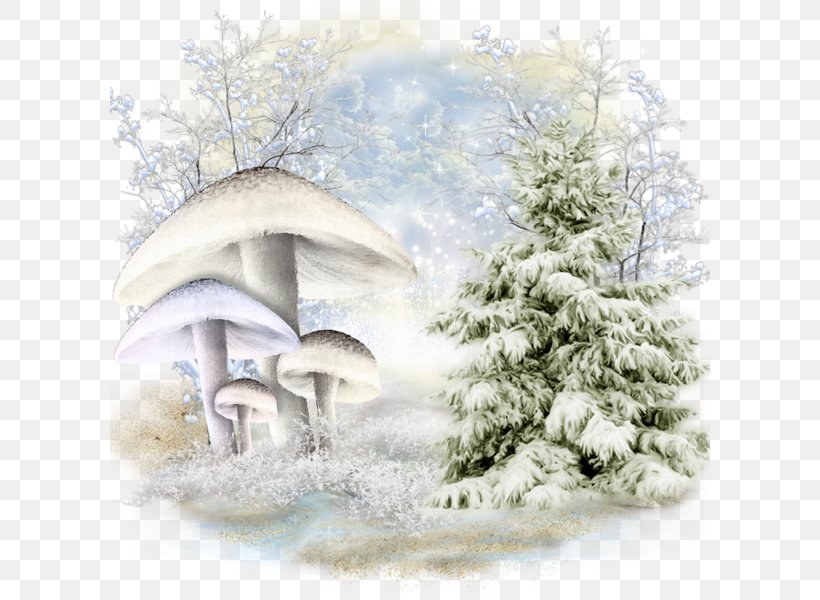 Fir Christmas Tree Christmas Day Christmas Ornament Winter, PNG, 600x600px, Fir, Blizzard, Blog, Branch, Centerblog Download Free