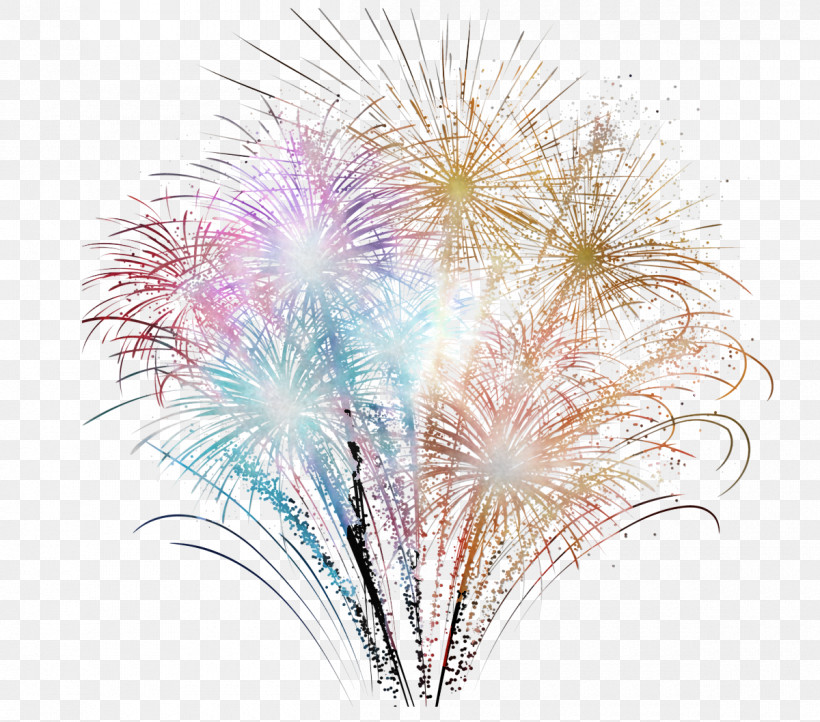 Fireworks, PNG, 1200x1058px, Fireworks Download Free