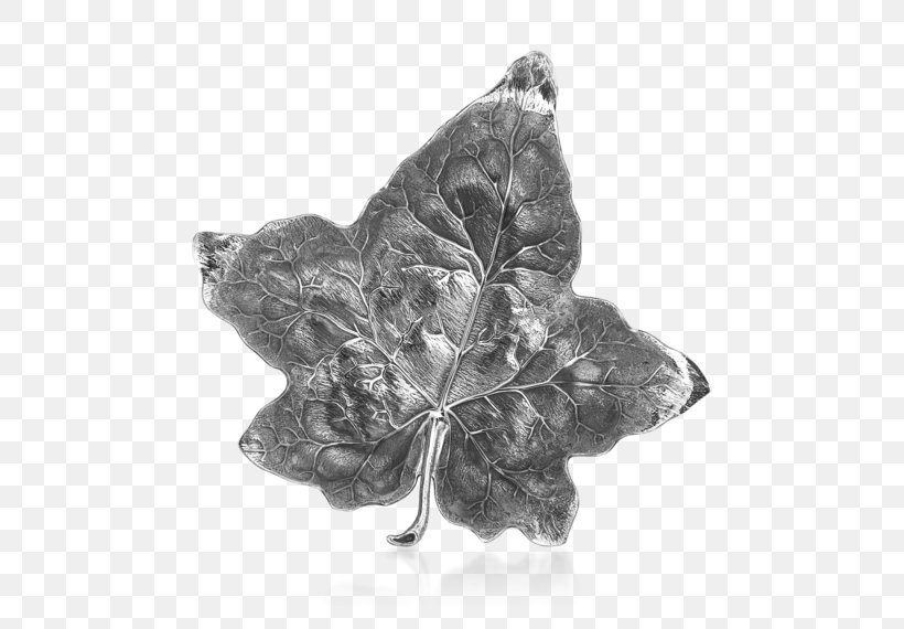 Leaf Buccellati Silver Jewellery Aspen, PNG, 570x570px, Leaf, Aspen, Black And White, Bowl, Buccellati Download Free