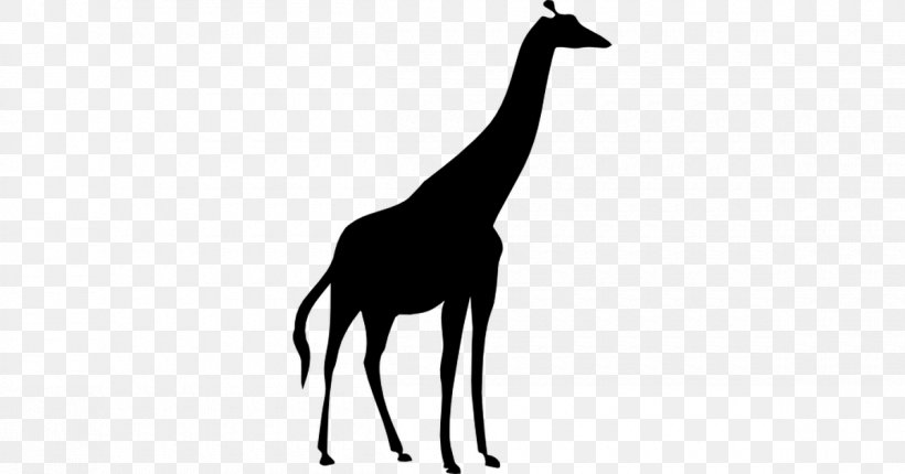 Northern Giraffe Silhouette, PNG, 1200x630px, Northern Giraffe, Animal, Black And White, Fauna, Giraffe Download Free