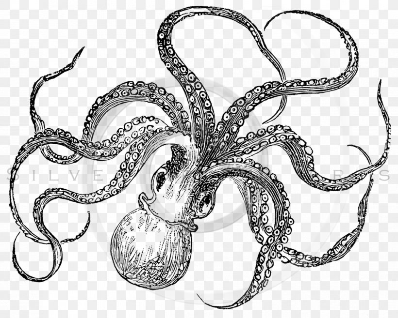 Octopus Cuttlefish Paper Clip Art, PNG, 1198x960px, Octopus, Animal, Black And White, Body Jewelry, Cephalopod Download Free