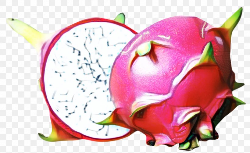 Pink Flower Cartoon, PNG, 1053x645px, Juice, Cactus, Carambola, Cuisine, Dragonfruit Download Free