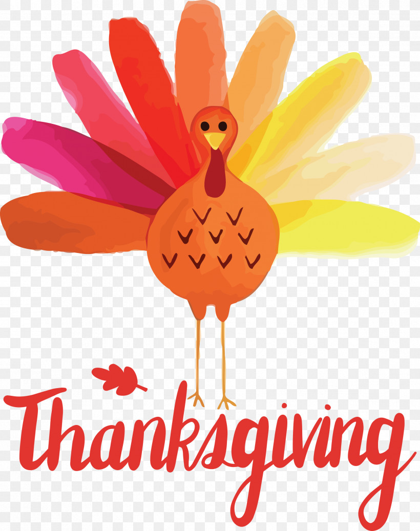 Thanksgiving, PNG, 2371x3000px, Thanksgiving, Biology, Birds, Cut Flowers, Flower Download Free