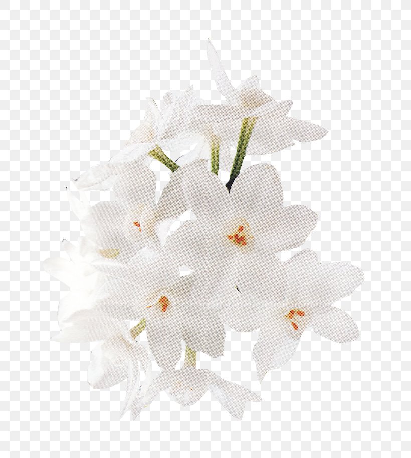 Floral Design White Flower, PNG, 715x913px, Floral Design, Blossom, Branch, Bud, Cherry Blossom Download Free