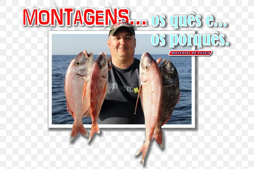 Jigging Fishing Pagre International Waters Logbook, PNG, 680x547px, Jigging, Advertising, Bead, Blackspot Seabream, Boat Download Free