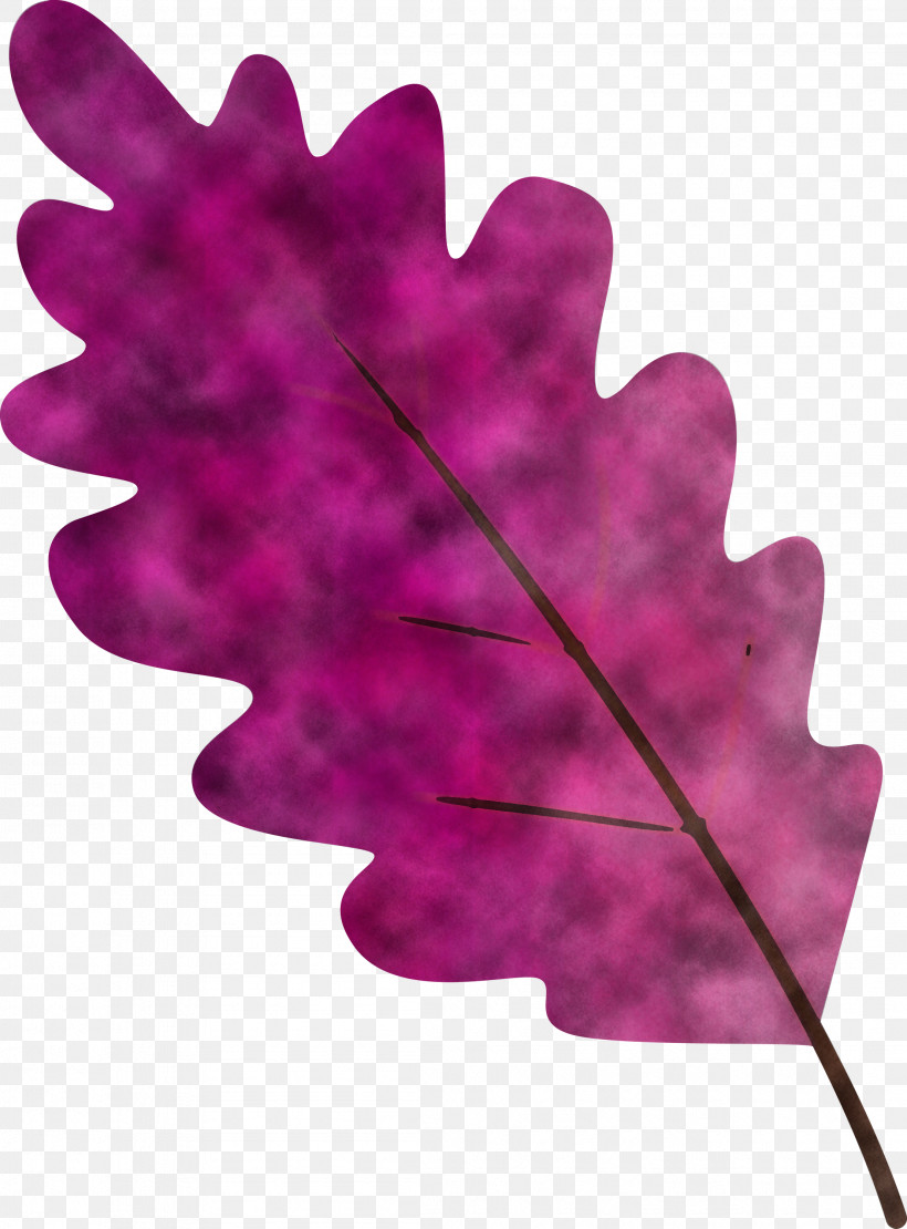 Leaf Pink Purple Violet Plant, PNG, 2216x3000px, Watercolor Leaf, Flower, Leaf, Magenta, Pink Download Free