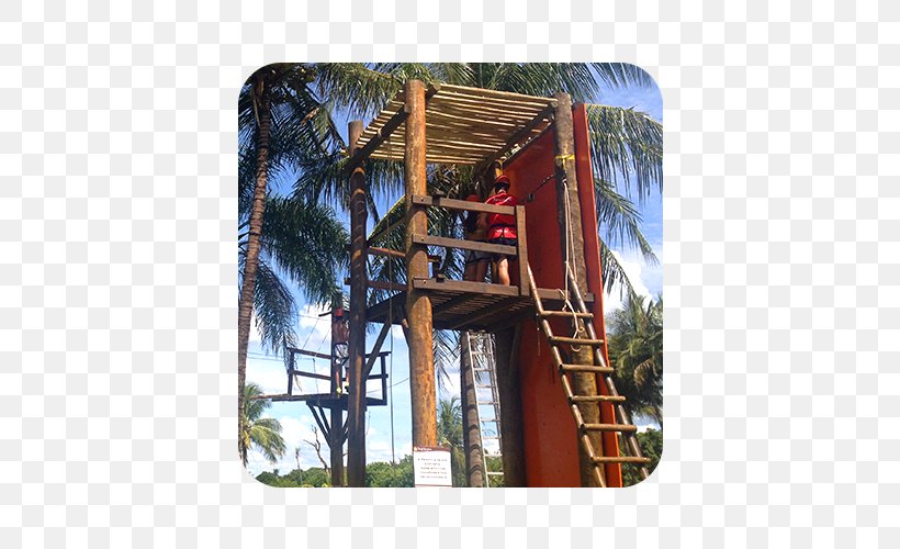 Adventure Park Recreation Zip-line, PNG, 570x500px, Adventure Park, Abseiling, Adventure, Climbing, Extreme Sport Download Free