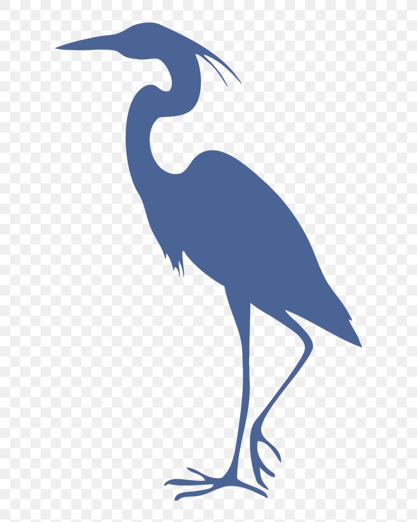 Great Blue Heron Grey Heron Bird Cleaning, PNG, 615x1025px, Great Blue Heron, Animal, Ardea, Athens, Beak Download Free