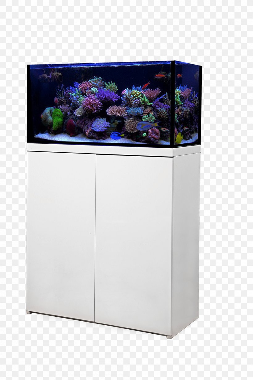 Octopus Protein Skimmer Aquarium Filters Reef Aquarium, PNG, 1000x1500px, Octopus, Aquarium, Aquarium Filters, Aquarium Lighting, Coral Download Free