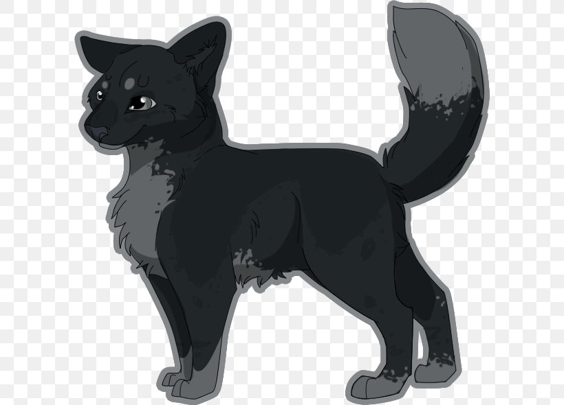 Schipperke Whiskers Cat Dog Breed, PNG, 604x590px, Schipperke, Black, Breed, Carnivoran, Cat Download Free