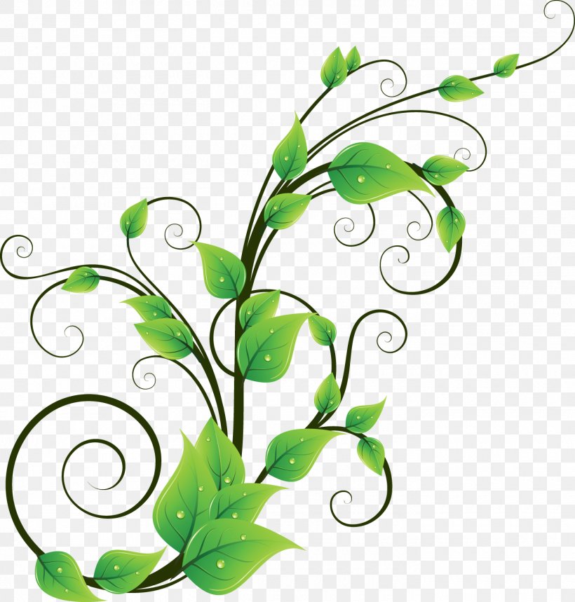 Pattern, PNG, Plant, Body Branch, Flora Download Free