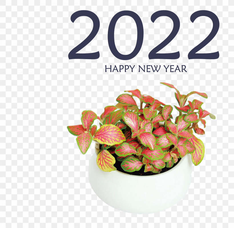 2022 Happy New Year 2022 New Year 2022, PNG, 3000x2920px, Plant, Fittonia, Flowerpot, Houseplant, Humidity Download Free