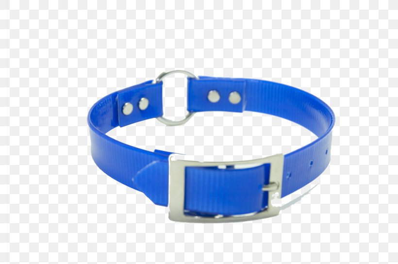 Dog Collar Watch Strap Wristband Bracelet, PNG, 2048x1360px, Dog Collar, Blue, Bracelet, Clothing Accessories, Collar Download Free