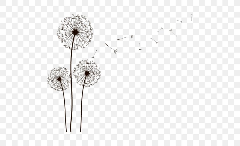 Drawing Dandelion Art Sketch, PNG, 500x500px, Drawing, Art, Black And White, Cut Flowers, Dandelion Download Free
