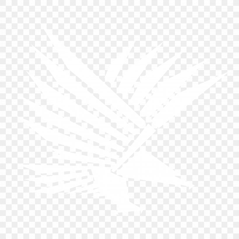 Flight 0506147919 Logo Emblem House, PNG, 4724x4724px, Flight, Address, Beak, Bird, Black Download Free