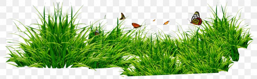 Lawn Desktop Wallpaper Clip Art, PNG, 1200x370px, Lawn, Aquarium Decor, Commodity, Drawing, Editing Download Free