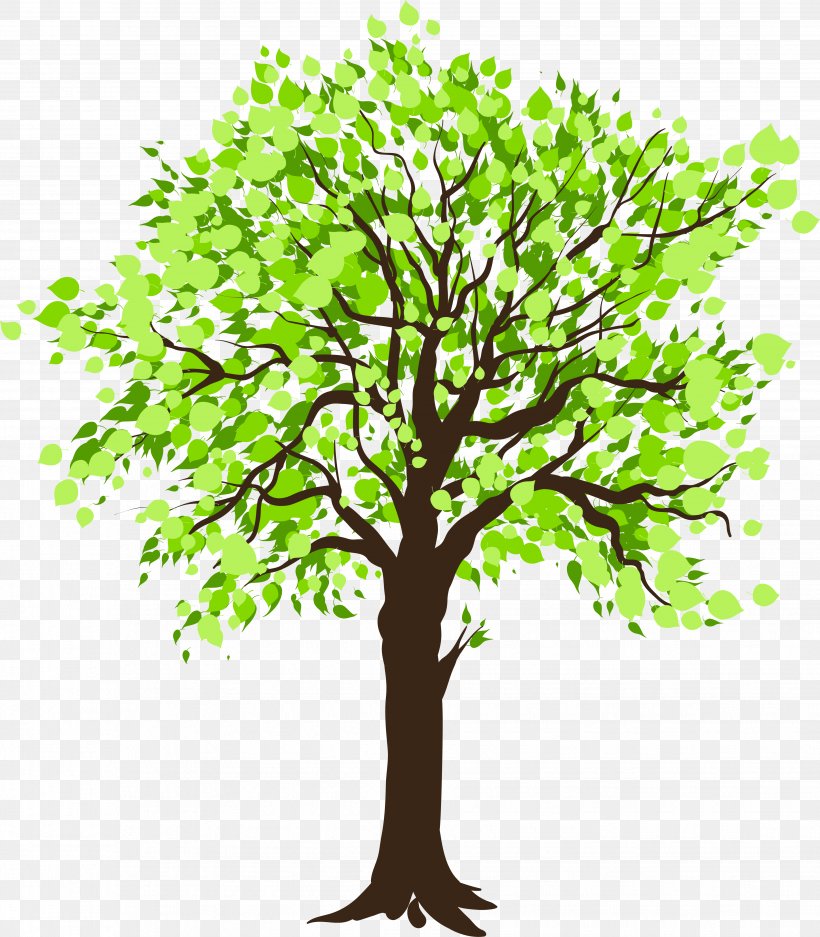 Tree Stock Photography Clip Art, PNG, 3711x4244px, Tree, Beech, Branch, Drawing, Grass Download Free