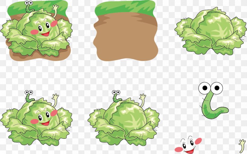 Cabbage Vegetable Cartoon Illustration, PNG, 962x601px, Cabbage, Amphibian, Cartoon, Chinese Cabbage, Emoticon Download Free
