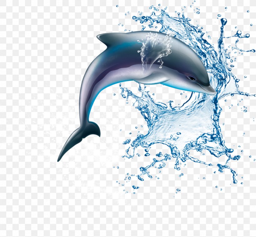 Common Bottlenose Dolphin Wholphin Wine Tucuxi, PNG, 1422x1323px, Dolphin Dolphin, Common Bottlenose Dolphin, Dolphin, Fish, Illustration Download Free