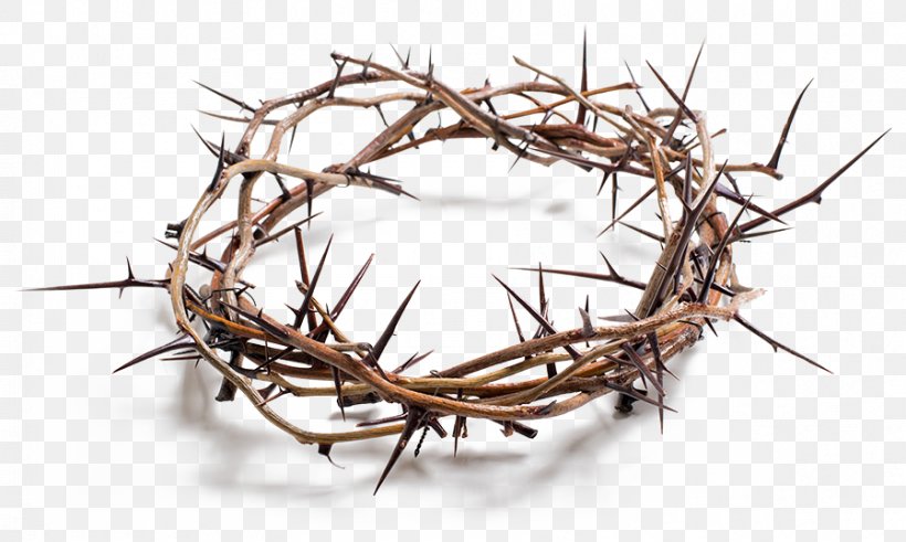 Stock Photography Crown Of Thorns Royalty-free, PNG, 898x538px, Stock Photography, Bigstock, Branch, Crown Of Thorns, Depositphotos Download Free