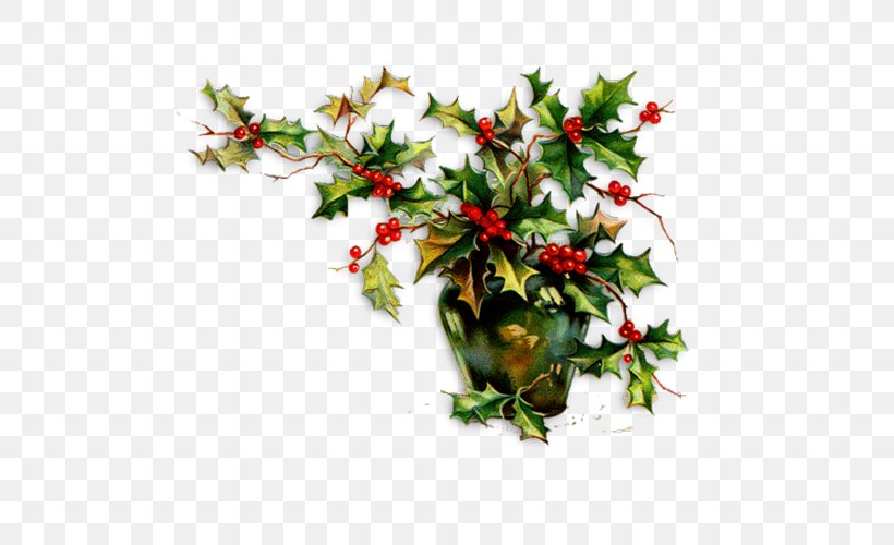 Common Holly Christmas Ornament Clip Art, PNG, 500x500px, Common Holly, Advent, Aquifoliaceae, Aquifoliales, Branch Download Free