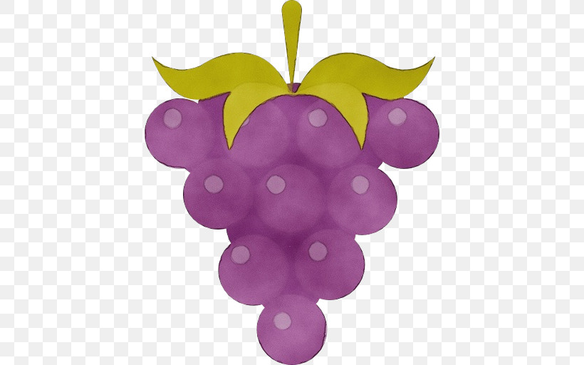 Grape Purple Violet Grapevine Family Vitis, PNG, 512x512px, Watercolor, Fruit, Grape, Grapevine Family, Magenta Download Free