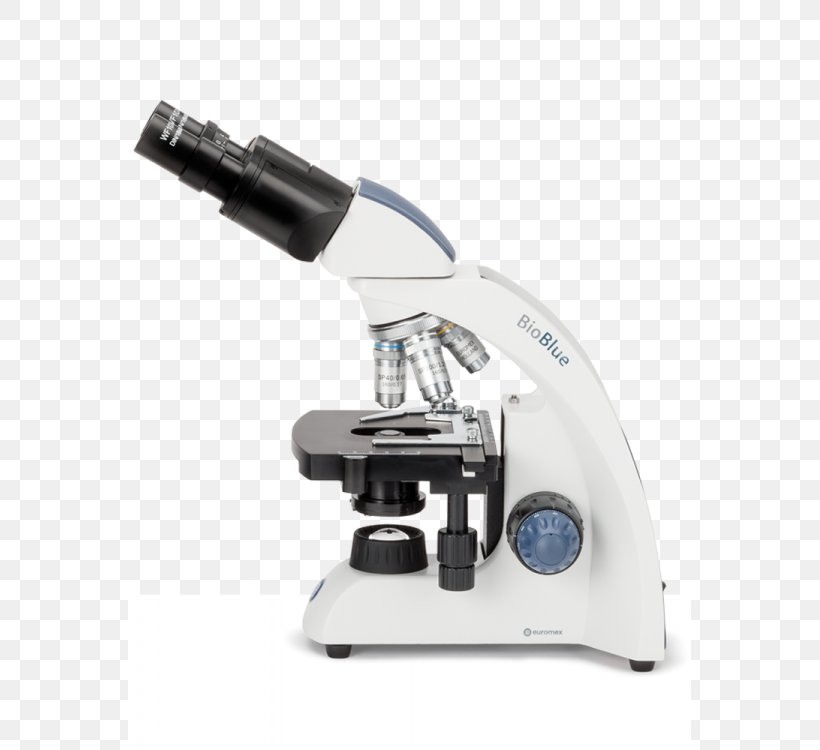 Microscope Laboratory Objective Lens Eyepiece, PNG, 563x750px, Microscope, Business, Centrifuge, Chemistry, Eyepiece Download Free