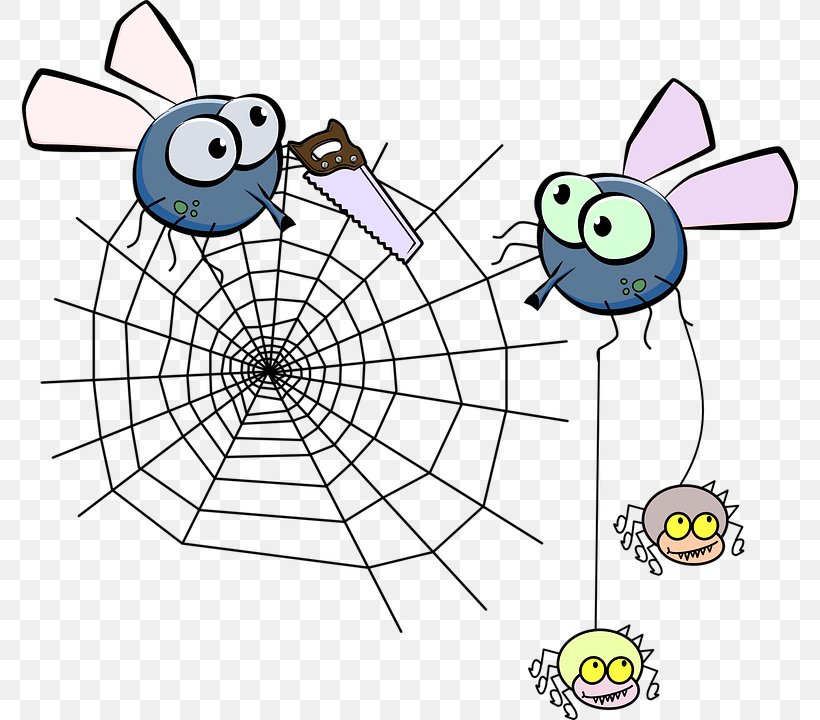 Spider Web Clip Art, PNG, 776x720px, Spider, Area, Drawing, Invertebrate, Organism Download Free