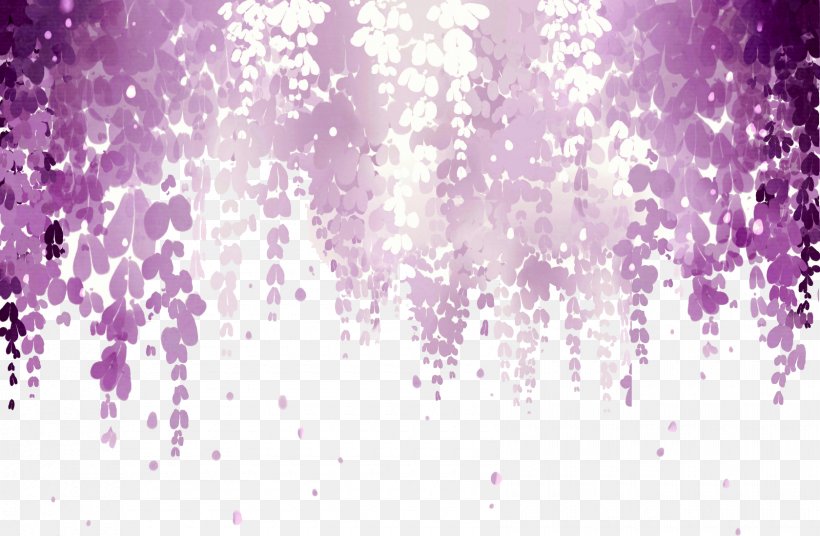 Wisteria Floribunda Flower Pink Purple Wallpaper, PNG, 1680x1100px, Wisteria, Designer, Flower, Lilac, Magenta Download Free