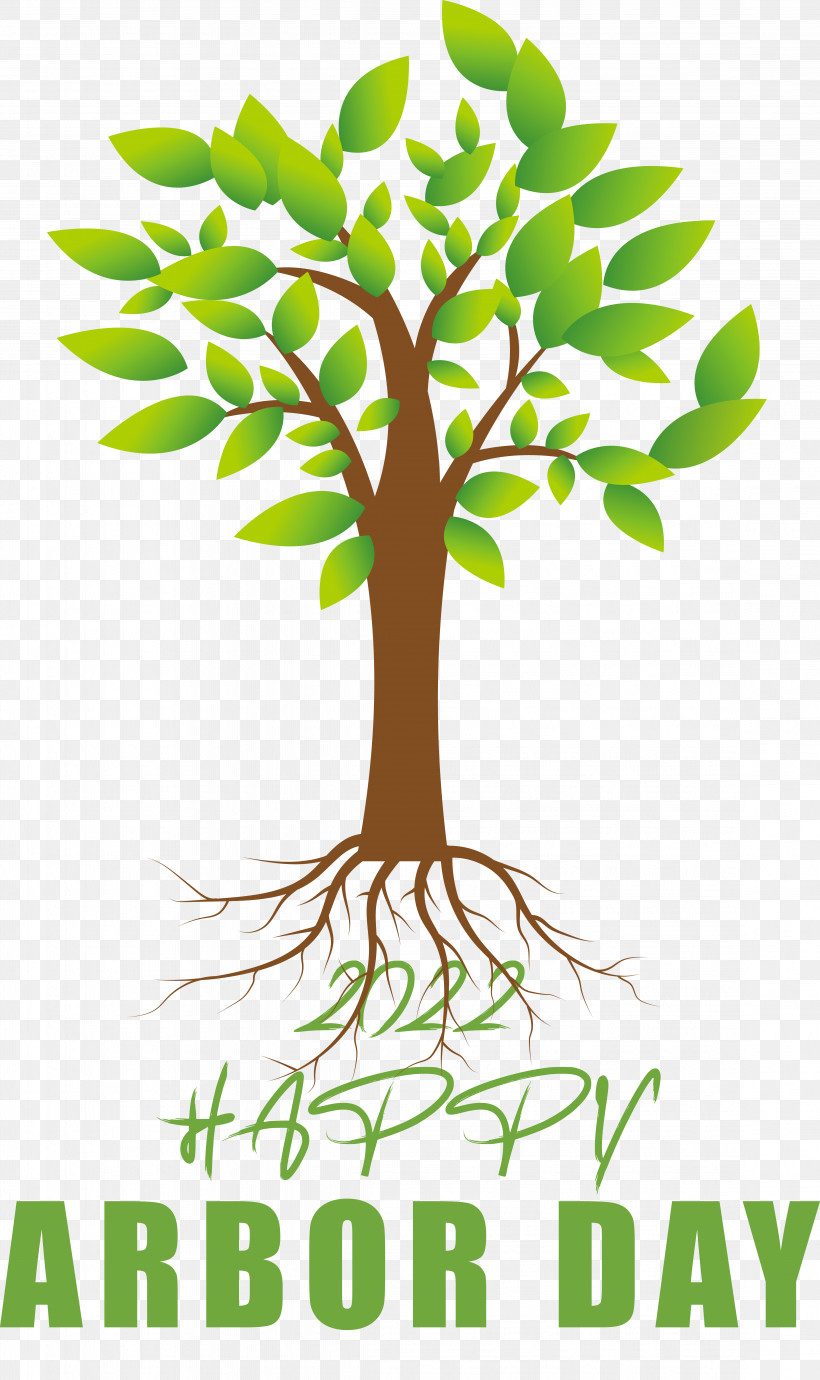 Drawing Tree Cartoon Icon Root, PNG, 4499x7572px, Drawing, Cartoon, Root, Tree Download Free