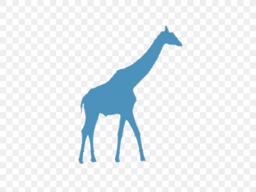 Giraffe Vector Graphics Illustration Clip Art Image, PNG, 1032x776px, Giraffe, Drawing, Fauna, Giraffidae, Giraffids Download Free