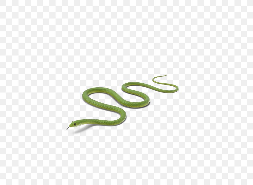 Snake Green, PNG, 600x600px, Snake, Brand, Designer, Grass, Green Download Free
