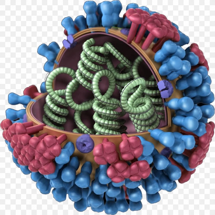 Influenza Vaccine Influenza A Virus Subtype H3N2 Flu Season, PNG, 956x956px, Influenza, Flu Season, Fruit, Hemagglutinin, Infection Download Free