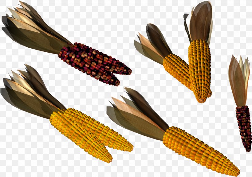 Maize IFolder DepositFiles Clip Art, PNG, 2549x1790px, Maize, Climate, Commodity, Depositfiles, Humidity Download Free