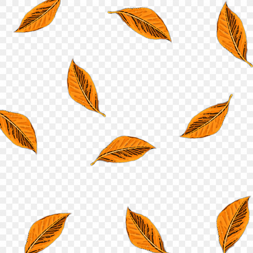 Orange, PNG, 1773x1773px, Leaf, Orange, Plant, Tree Download Free