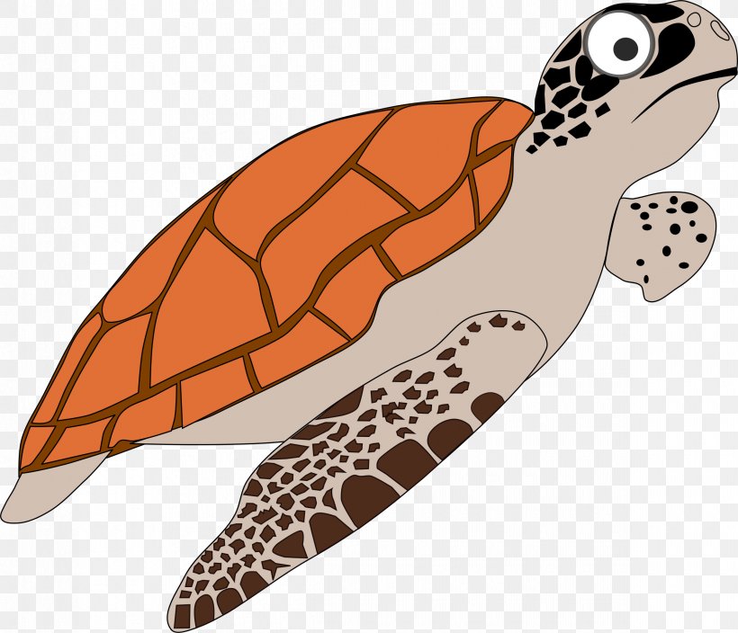 Sea Turtle Cartoon Clip Art, PNG, 2395x2057px, Turtle, Cartoon, Drawing, Fish, Green Sea Turtle Download Free