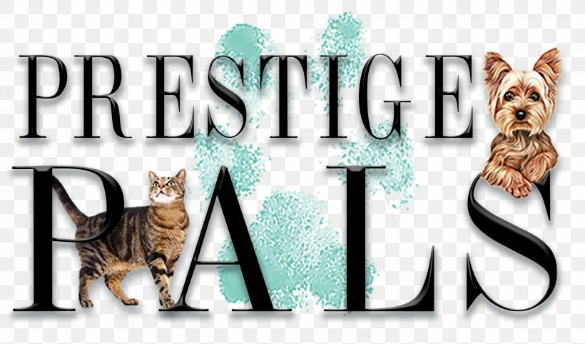 Cat Logo Pet Brand Font, PNG, 2000x1178px, Cat, Brand, Carnivoran, Cat Like Mammal, Logo Download Free