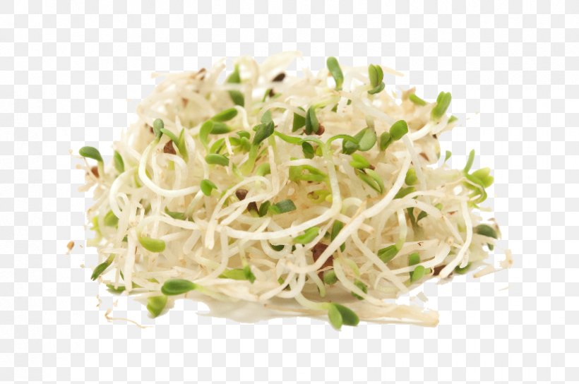 Vegetable Alfalfa Stock Photography Organic Food Sprouting, PNG, 824x547px, Vegetable, Alfalfa, Alfalfa Sprouts, Bean Sprout, Bean Sprouts Download Free